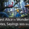 46 Best Alice In Wonderland Quotes, Sayings With Images