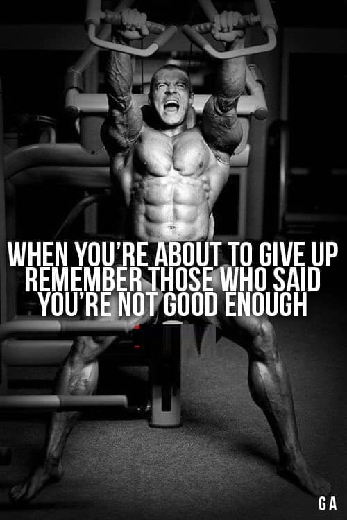 don't give up quotes
