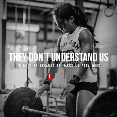 gym weights quotes