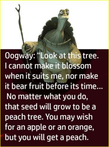 20 + Master Oogway Quotes With Images That Will Motivate You To Succeed